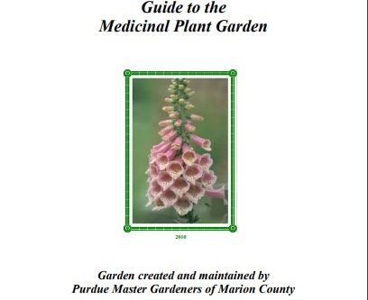 GUIDE TO THE MEDICINAL PLANT GARDEN