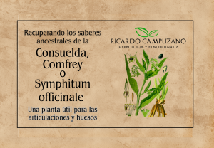 PORTADA CURSO ONLINE SYMPHITUM CONSUELDA