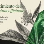Procesamiento Tradicional de la Raíz de Symphytum officinale para la Reducción de Alcaloides Pirrolizidínicos y Obtención de Mucílagos según las Enseñanzas de Edward Shook – Un reparador natural de articulaciones y huesos!