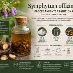 ¿Mito, Magia o Fitoquímica? El Secreto de la Planta que “Teje” los Huesos y Ligamentos desde la antigüedad